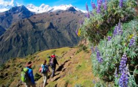 Top Trekking Choquequirao to Machu Picchu 8 Days