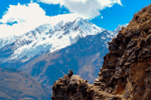 Choquequirao Trek Route