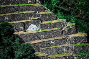 https://www.choquequirao.biz/trekking-choquequirao-to-machu-picchu